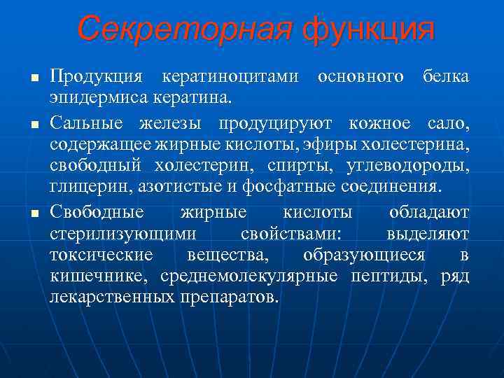  Секреторная функция n Продукция кератиноцитами основного белка эпидермиса кератина. n Сальные железы продуцируют