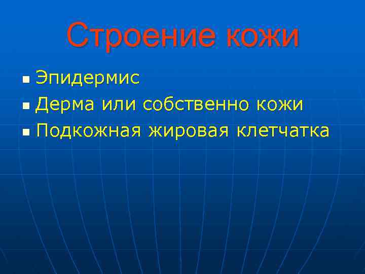  Строение кожи n Эпидермис n Дерма или собственно кожи n Подкожная жировая клетчатка