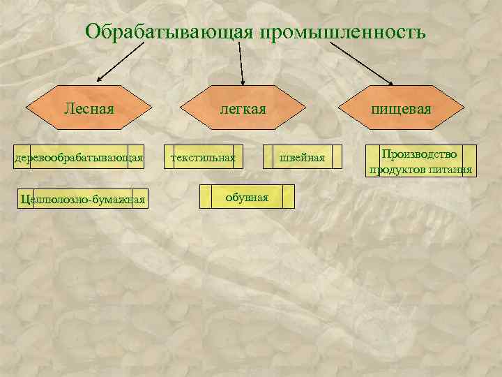 Обрабатывающая промышленность Лесная деревообрабатывающая Целлюлозно-бумажная легкая текстильная обувная пищевая швейная Производство продуктов питания 