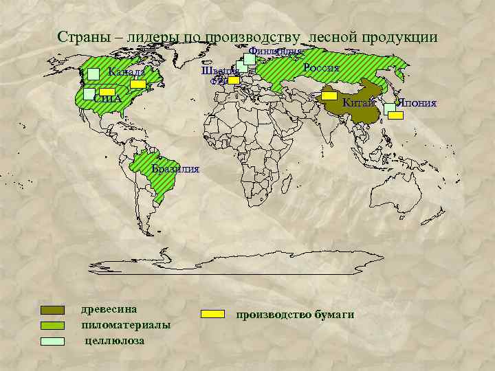 Страны – лидеры по производству лесной продукции Финляндия Швеция Канада Россия ФРГ США Китай