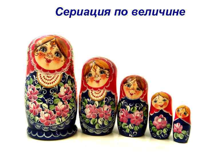 Сериация по величине 