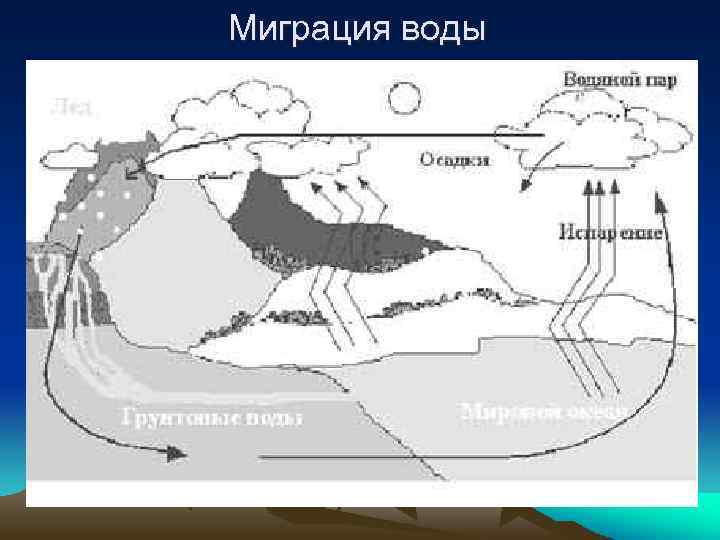 Миграция воды 