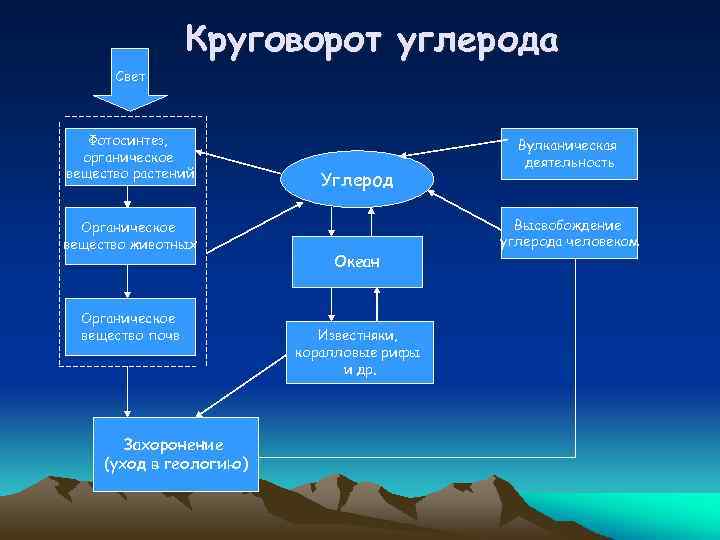 Круговорот углерода Свет Фотосинтез, органическое вещество растений Органическое вещество животных Органическое вещество почв Захоронение