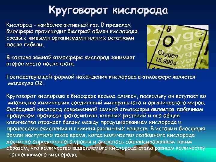 Круговорот кислорода Кислород - наиболее активный газ. В пределах биосферы происходит быстрый обмен кислорода