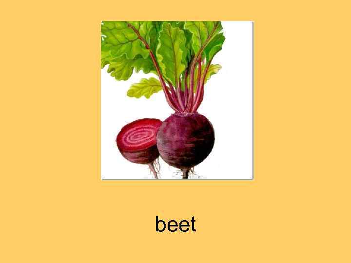 beet 