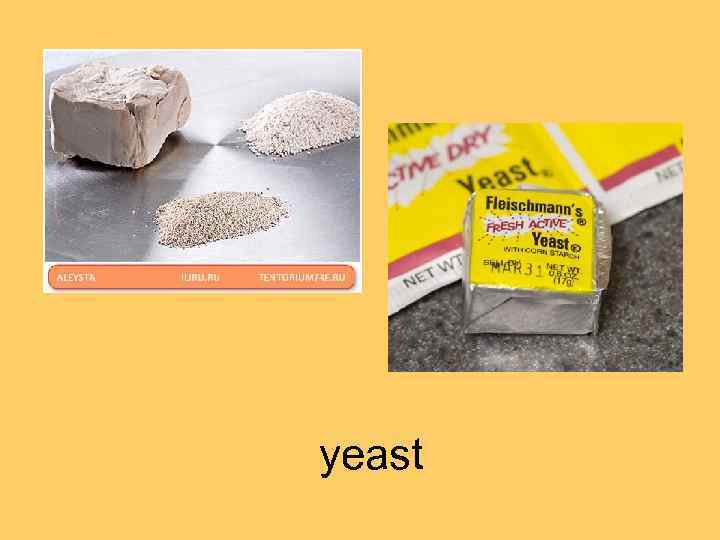 yeast 