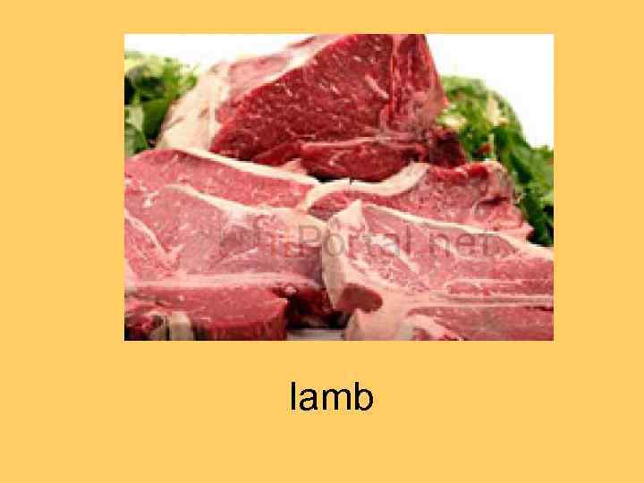 lamb 