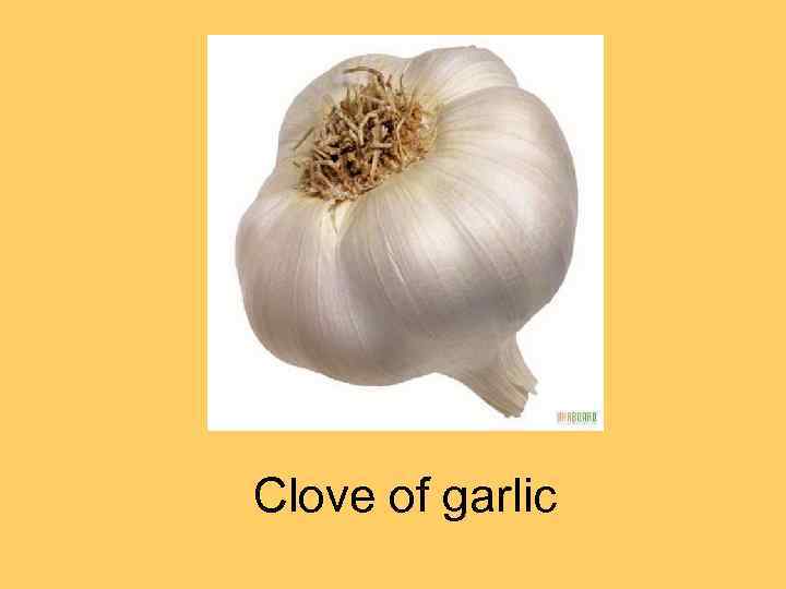 Clove of garlic 