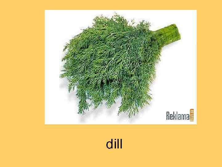 dill 