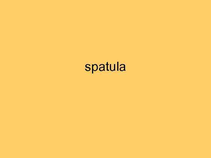 spatula 