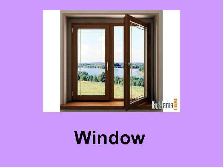 Window 