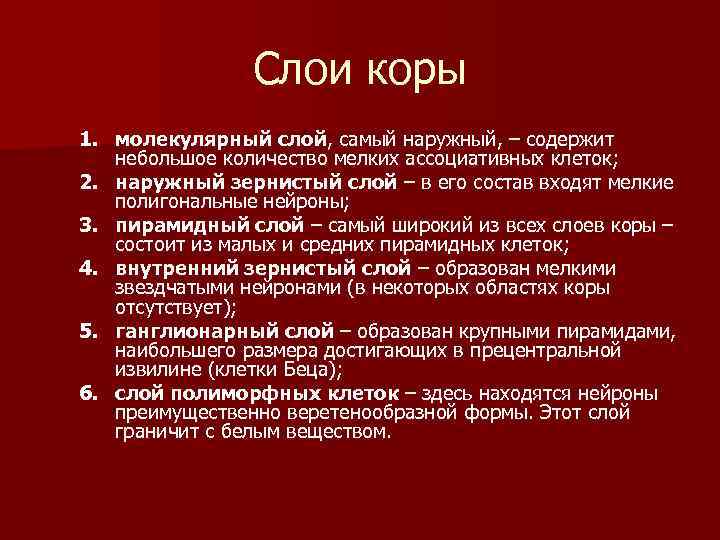 Слои коры 1. молекулярный слой, самый наружный, – содержит небольшое количество мелких ассоциативных клеток;