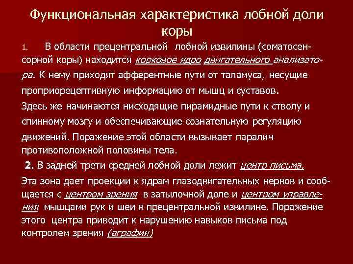 Функциональная характеристика лобной доли коры В области прецентральной лобной извилины (соматосенсорной коры) находится корковое