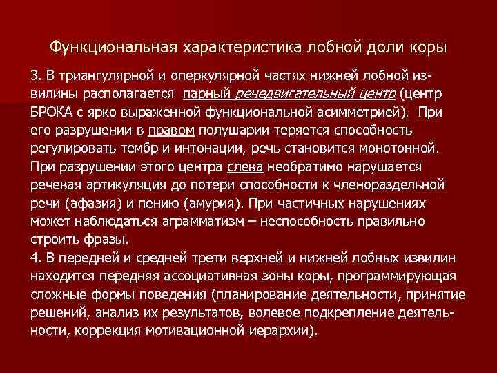 Функциональная характеристика лобной доли коры 3. В триангулярной и оперкулярной частях нижней лобной извилины