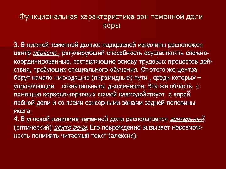 Функциональная характеристика зон теменной доли коры 3. В нижней теменной дольке надкраевой извилины расположен