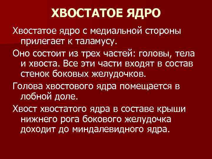 ХВОСТАТОЕ ЯДРО Хвостатое ядро с медиальной стороны прилегает к таламусу. Оно состоит из трех