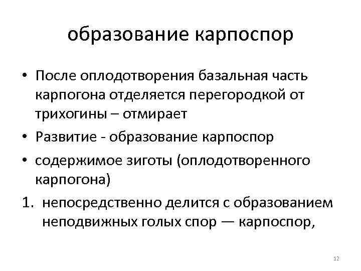 образование карпоспор • После оплодотворения базальная часть карпогона отделяется перегородкой от трихогины – отмирает