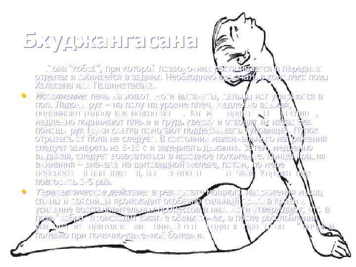 Бхуджангасана • • Поза “кобра”, при которой позвоночник растягивается в передних отделах и сжимается
