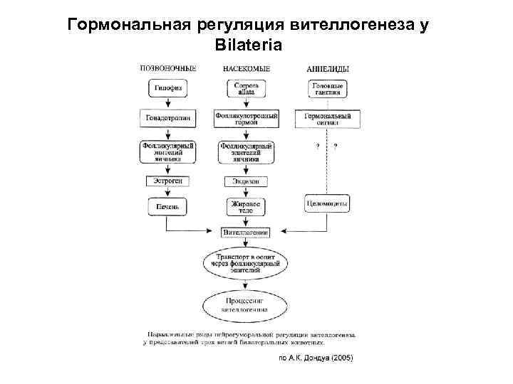 Гормональная регуляция