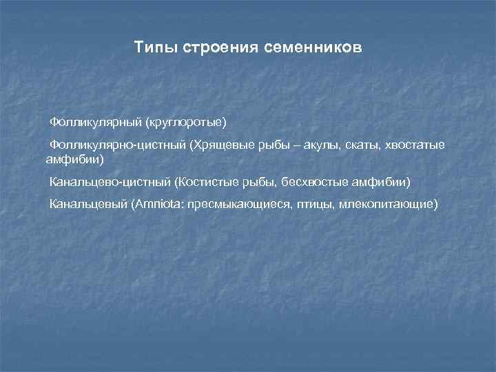 Типы строения семенников Фолликулярный (круглоротые) Фолликулярно-цистный (Хрящевые рыбы – акулы, скаты, хвостатые амфибии) Канальцево-цистный