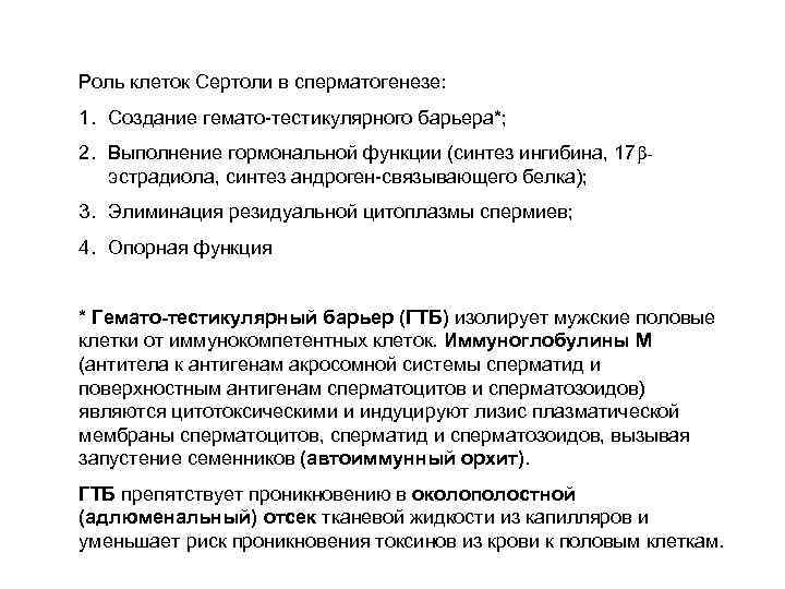Роль клеток Сертоли в сперматогенезе: 1. Создание гемато-тестикулярного барьера*; 2. Выполнение гормональной функции (синтез