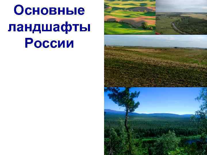 Основные ландшафты России 