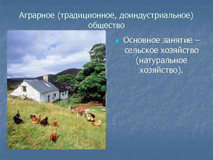 Аграрное (традиционное, доиндустриальное) общество n Основное занятие – сельское хозяйство (натуральное хозяйство). 