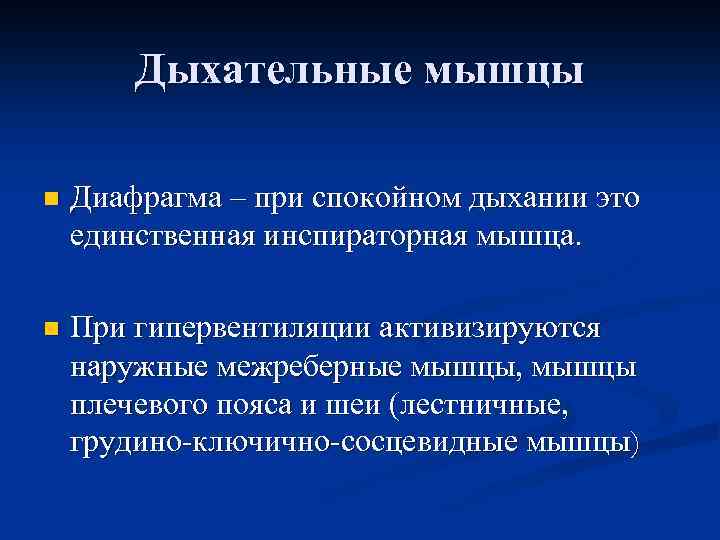 Дыхательные мышцы n Диафрагма – при спокойном дыхании это единственная инспираторная мышца. n При