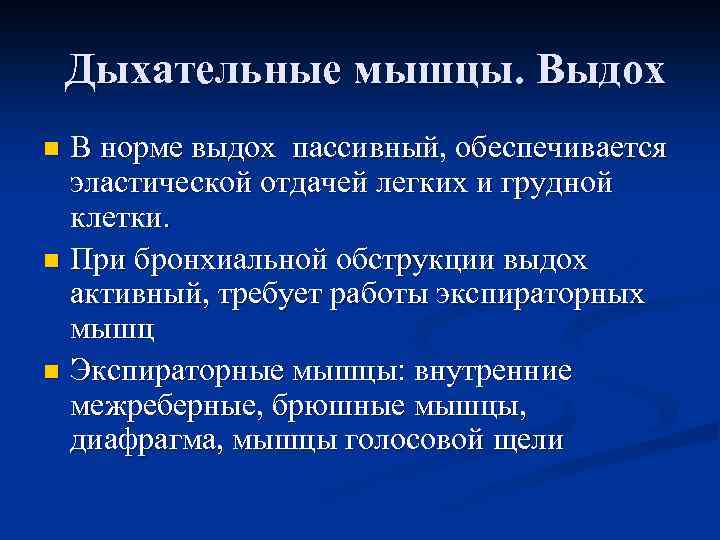 Дыхательные мышцы. Выдох В норме выдох пассивный, обеспечивается эластической отдачей легких и грудной клетки.