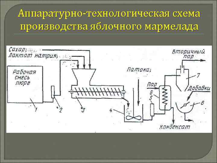 Аппаратурно технологическая схема производства яблочного мармелада 