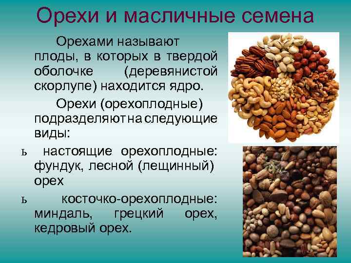 Орехи и масличные семена Орехами называют плоды, в которых в твердой оболочке (деревянистой скорлупе)