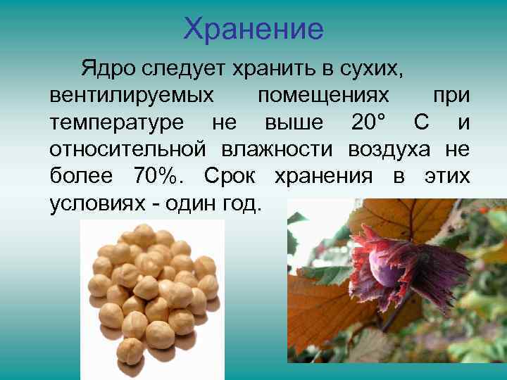 Хранение Ядро следует хранить в сухих, вентилируемых помещениях при температуре не выше 20° С