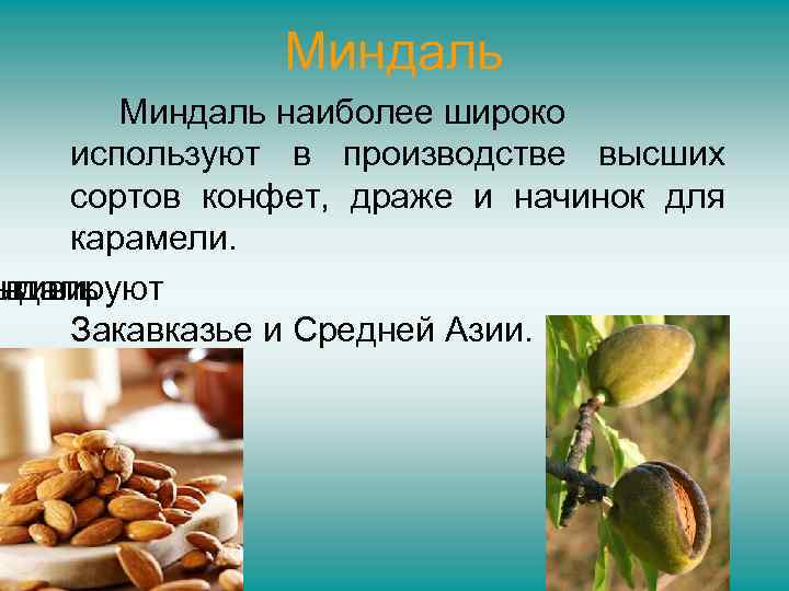 Миндаль наиболее широко используют в производстве высших сортов конфет, драже и начинок для карамели.