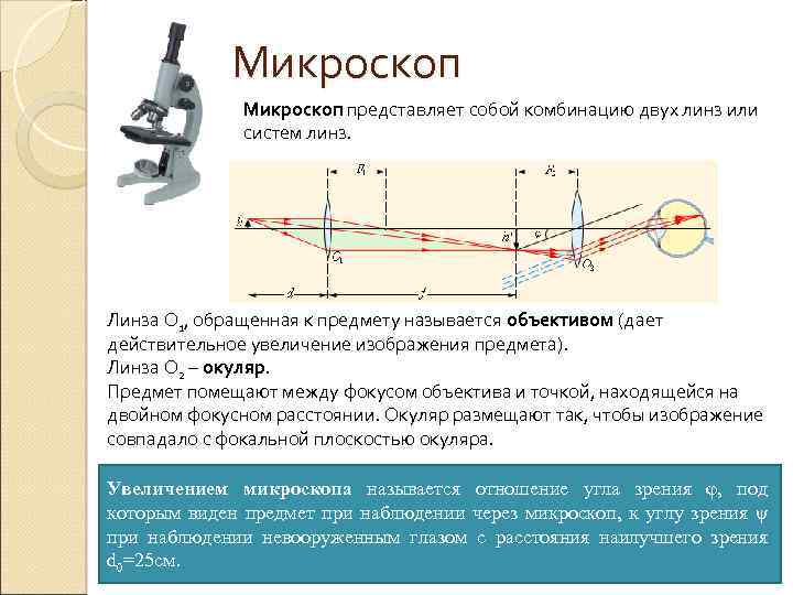 Микроскоп представляет собой комбинацию двух линз или систем линз. Линза О 1, обращенная к