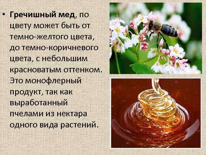  • Гречишный мед, по цвету может быть от темно-желтого цвета, до темно-коричневого цвета,