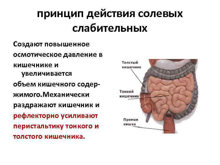 принцип действия солевых слабительных Создают повышенное осмотическое давление в кишечнике и увеличивается объем кишечного