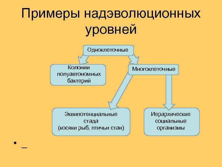 Примеры надэволюционных уровней Одноклеточные Колонии полуавтономных бактерий Эквипотенциальные стада (косяки рыб, птичьи стаи) •