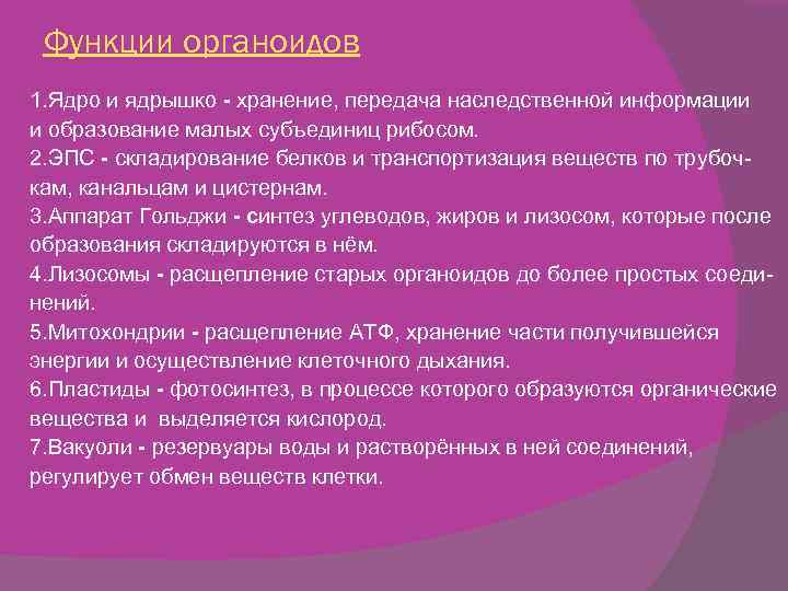 Функции органоидов 1. Ядро и ядрышко - хранение, передача наследственной информации и образование малых