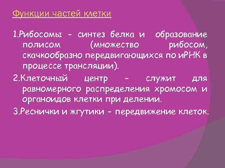 Функции частей клетки 1. Рибосомы - синтез белка и образование полисом (множество рибосом, скачкообразно