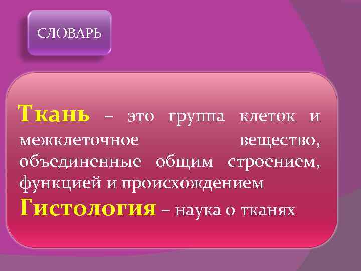 СЛОВАРЬ Ткань – это группа клеток и межклеточное вещество, объединенные общим строением, функцией и