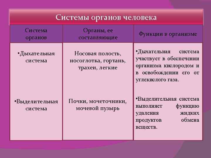 Системы органов человека Система органов Органы, ее составляющие • Дыхательная система Носовая полость, носоглотка,