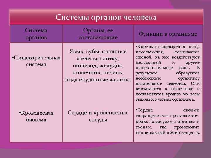 Системы органов человека Система органов Органы, ее составляющие Язык, зубы, слюнные • Пищеварительная железы,