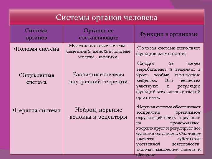 Системы органов человека Система органов • Половая система Органы, ее составляющие Функции в организме