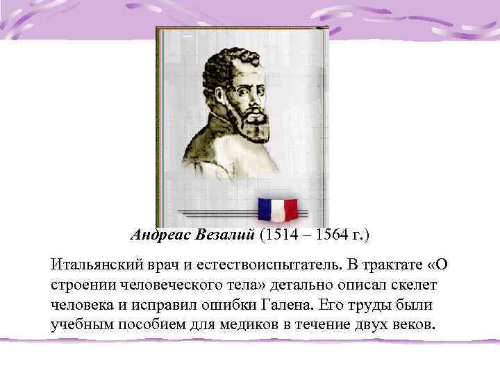  Андреас Везалий (1514 – 1564 г. ) Итальянский врач и естествоиспытатель. В трактате