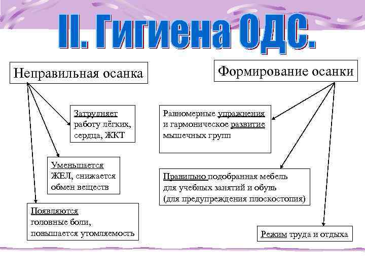 Неправильная осанка Формирование осанки Затрудняет Равномерные упражнения работу лёгких, и гармоническое развитие сердца, ЖКТ