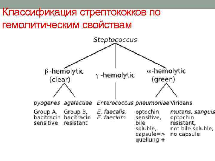 Классификация стрептококков по гемолитическим свойствам 