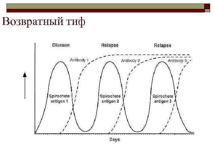 Возвратный тиф 