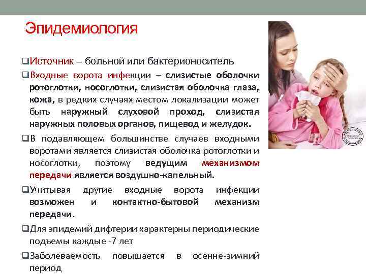 Эпидемиология q. Источник – больной или бактерионоситель q. Входные ворота инфекции – слизистые оболочки