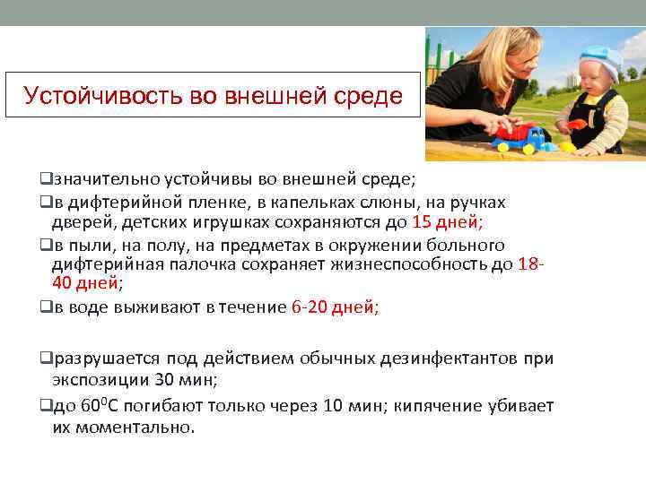 Устойчивость во внешней среде qзначительно устойчивы во внешней среде; qв дифтерийной пленке, в капельках