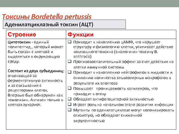 Токсины Bordetella pertussis Аденилатциклазный токсин (АЦТ) Строение Функции Цитотоксин - единый q Приводит к